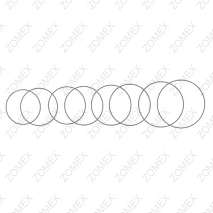Flieringa Scleral Fixation Ring